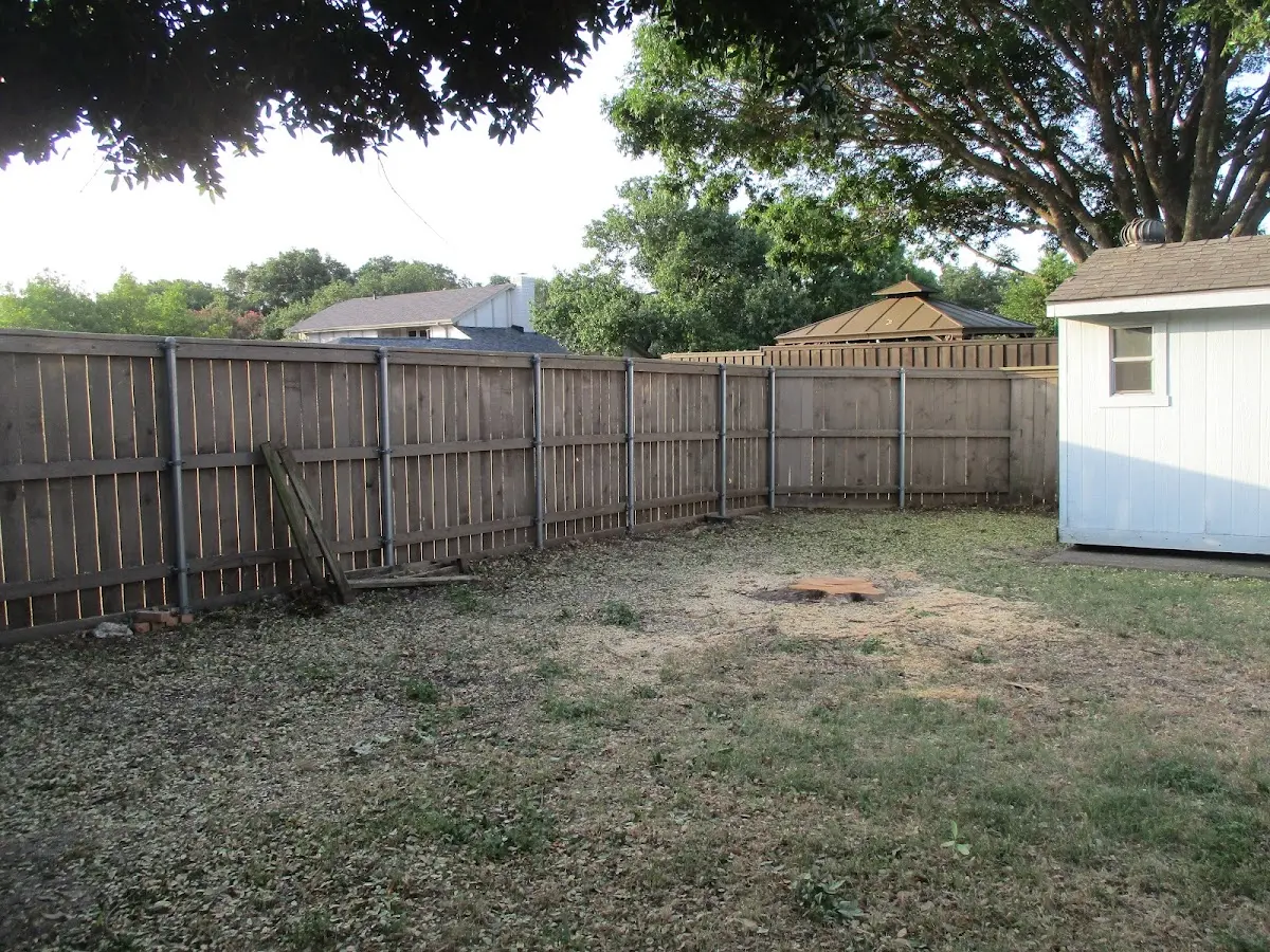 Cleared yard after professional tree removal in Indian Mound