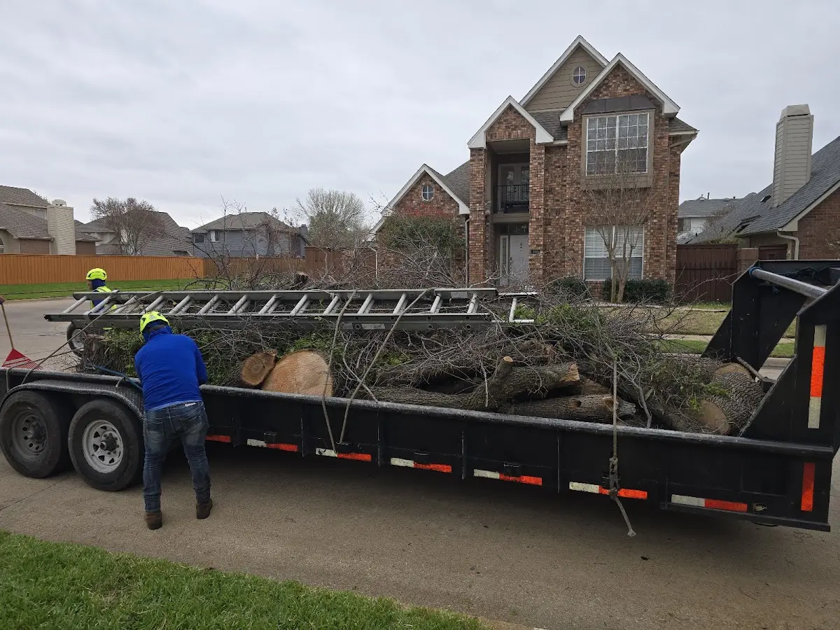 Expert Tree Pest Control with proper safety equipment in Indian Mound